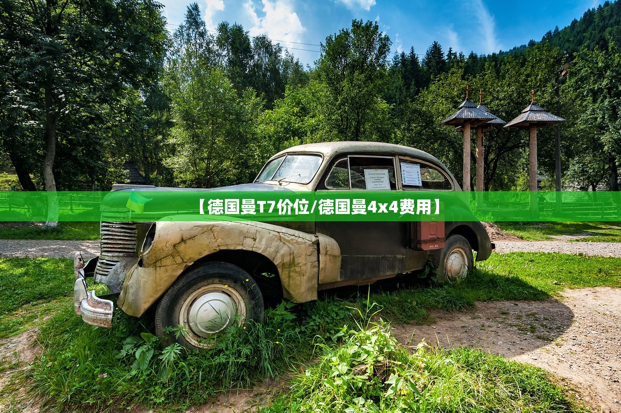【德国曼T7价位/德国曼4x4费用】