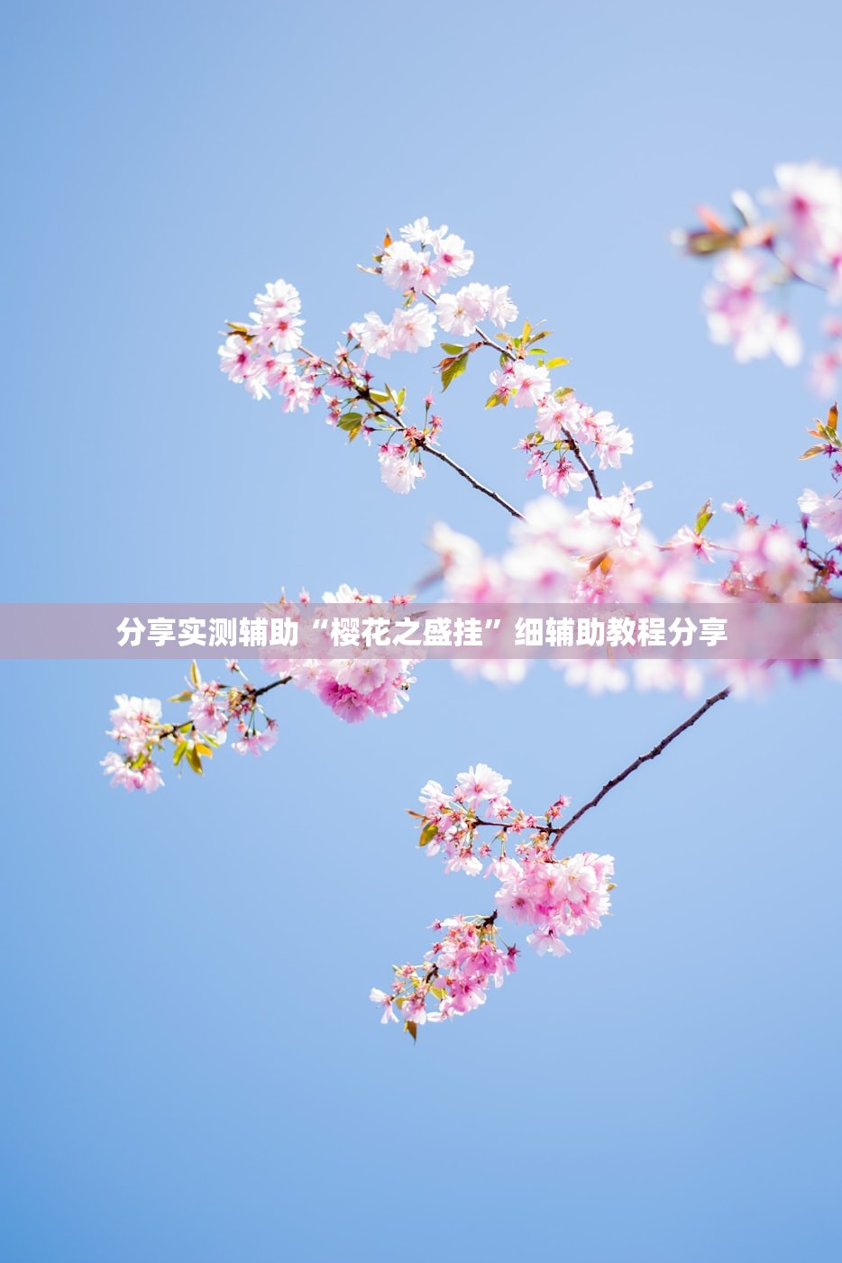 大学生社会实践活动有哪些:大学生社会实践活动有哪些类型