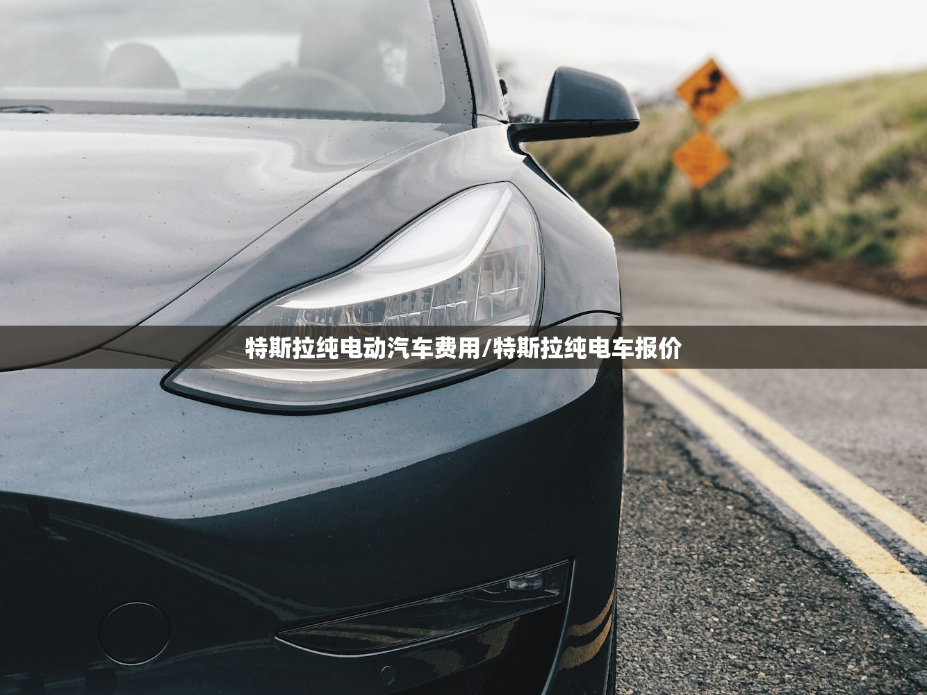 特斯拉纯电动汽车费用/特斯拉纯电车报价 特斯拉纯电动汽车费用/特斯拉纯电车报价