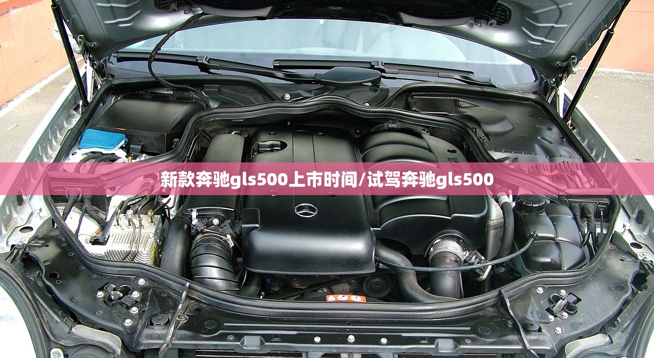 新款奔驰gls500上市时间/试驾奔驰gls500