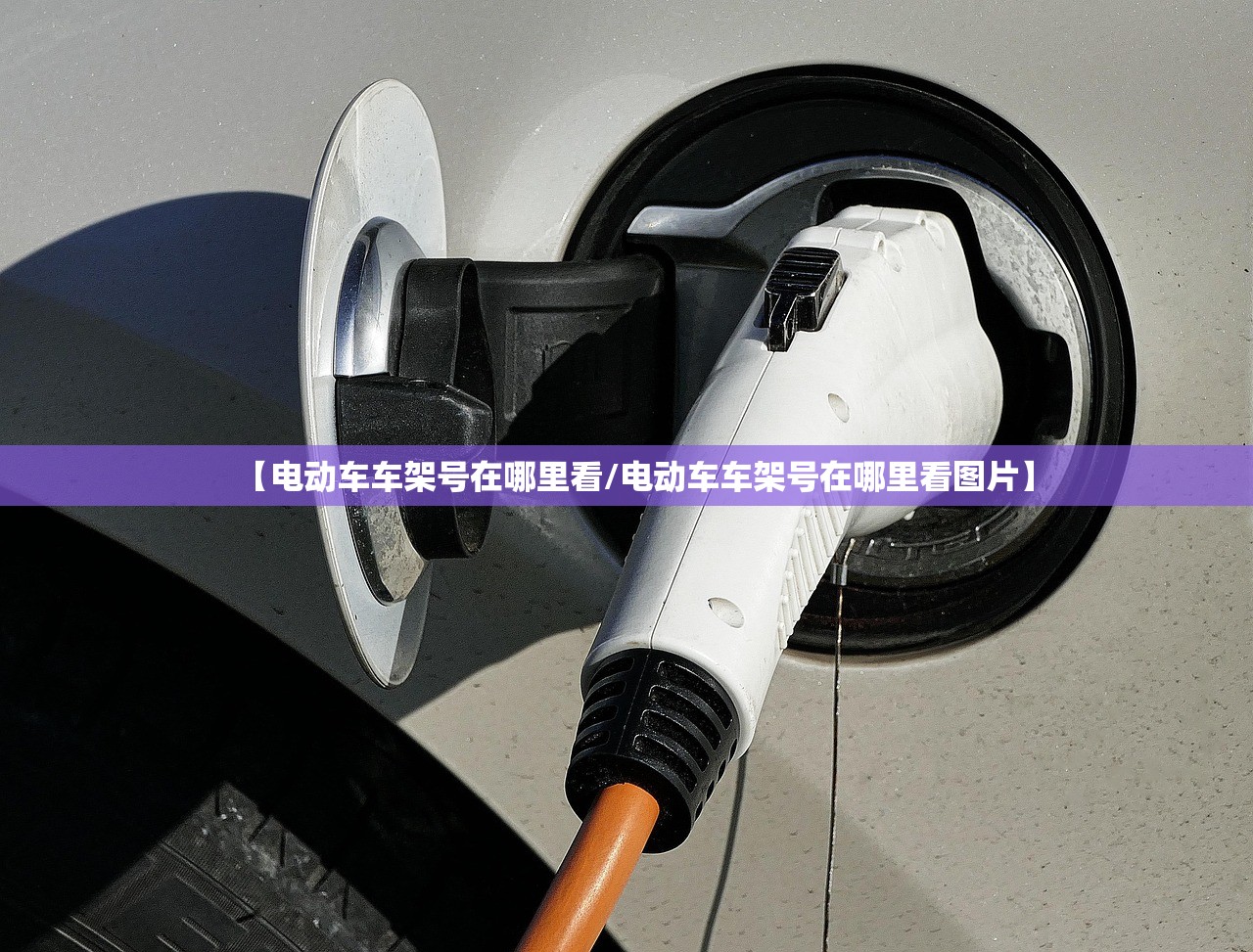 【电动车车架号在哪里看/电动车车架号在哪里看图片】