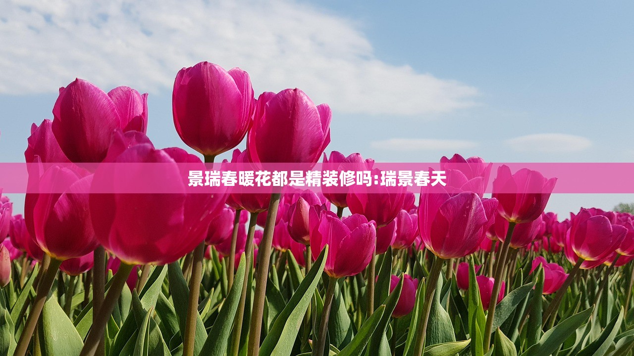 景瑞春暖花都是精装修吗:瑞景春天