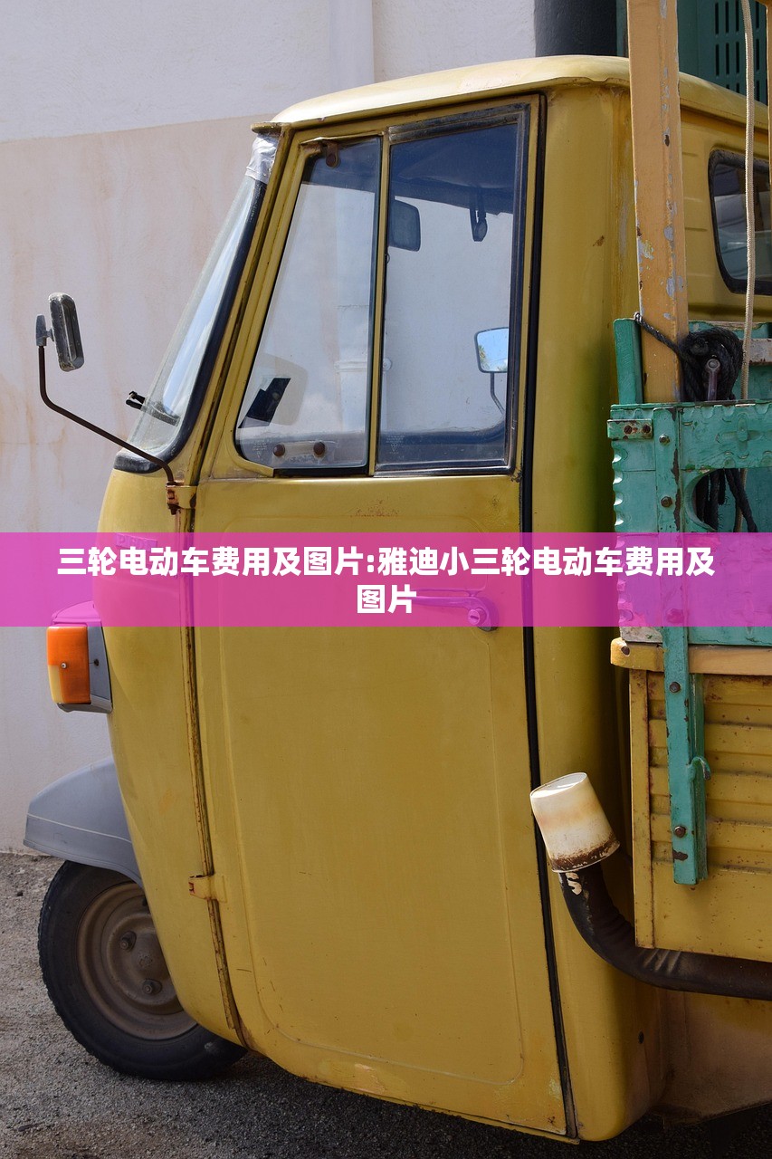 三轮电动车费用及图片:雅迪小三轮电动车费用及图片