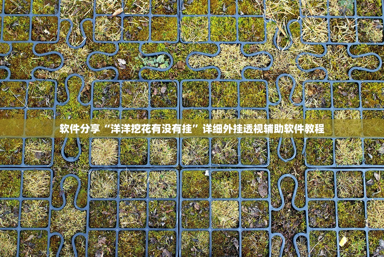 软件分享“洋洋挖花有没有挂”详细外挂透视辅助软件教程