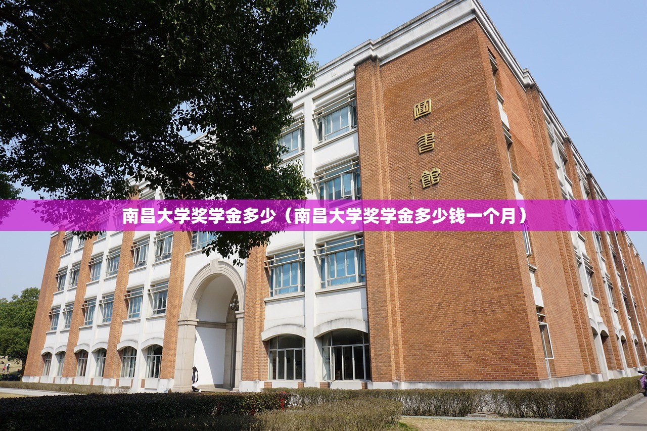 南昌大学奖学金多少（南昌大学奖学金多少钱一个月）