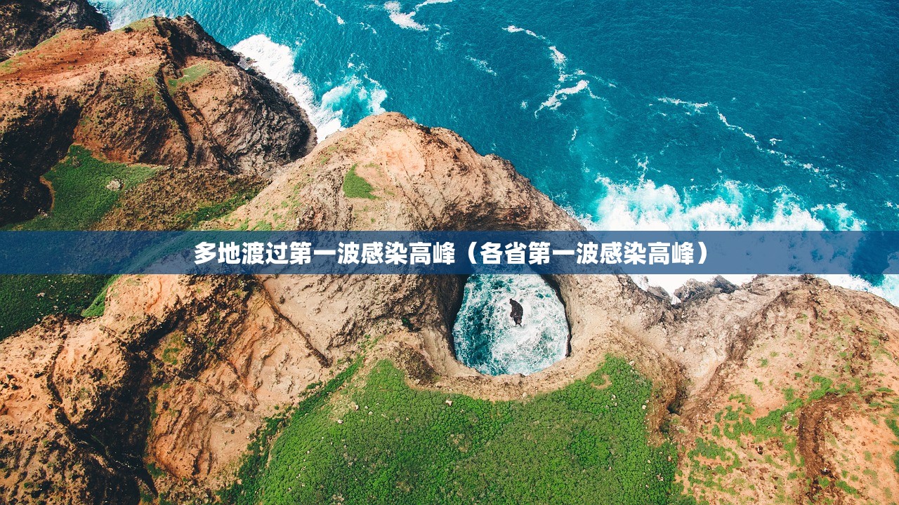 多地渡过第一波感染高峰（各省第一波感染高峰）