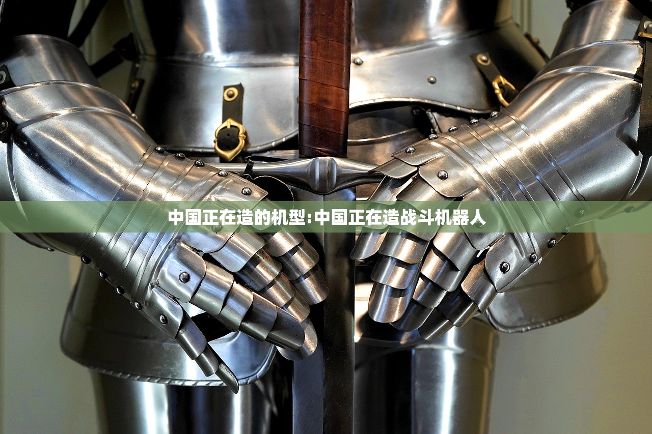中国正在造的机型:中国正在造战斗机器人
