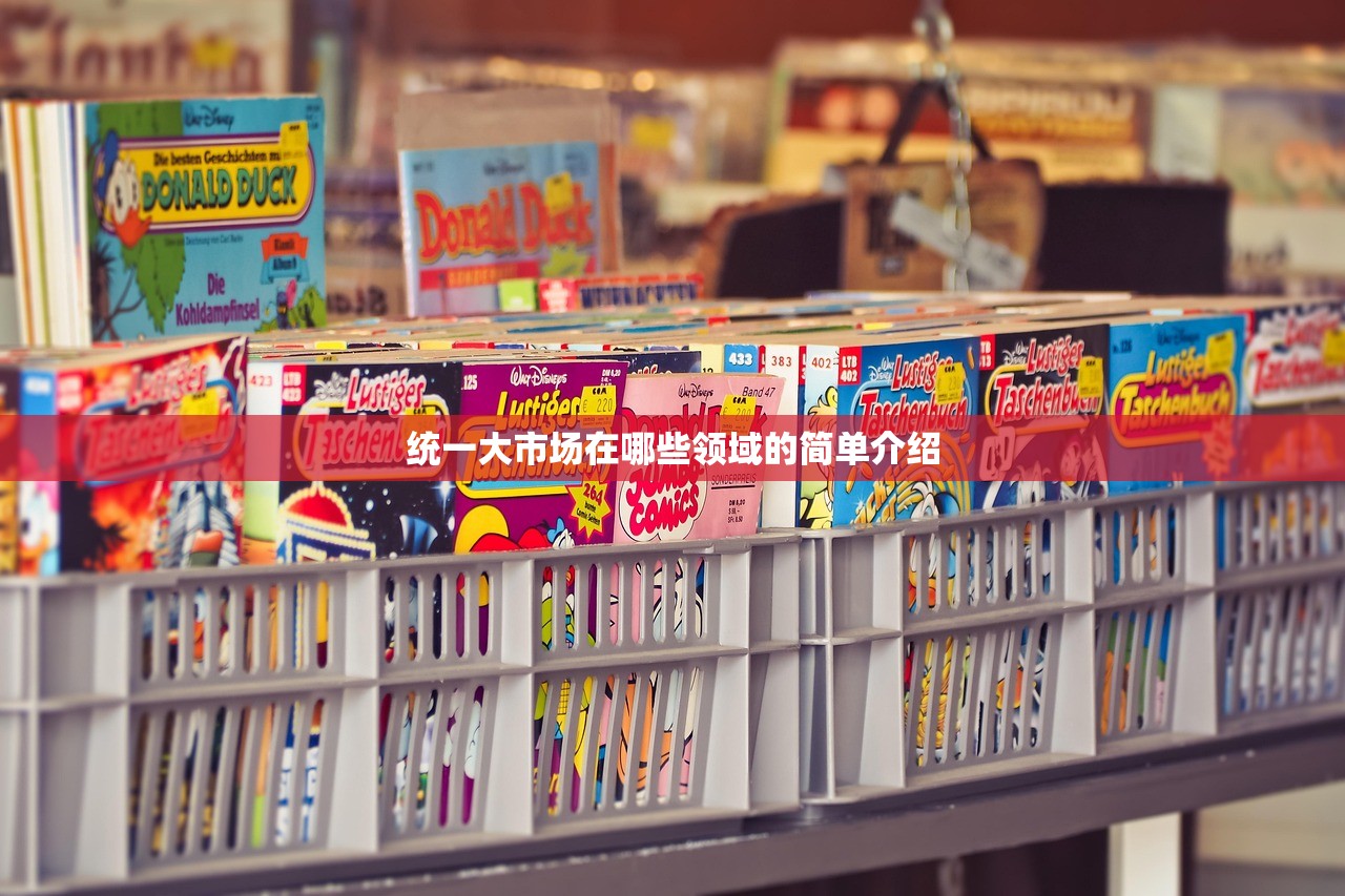 统一大市场在哪些领域的简单介绍