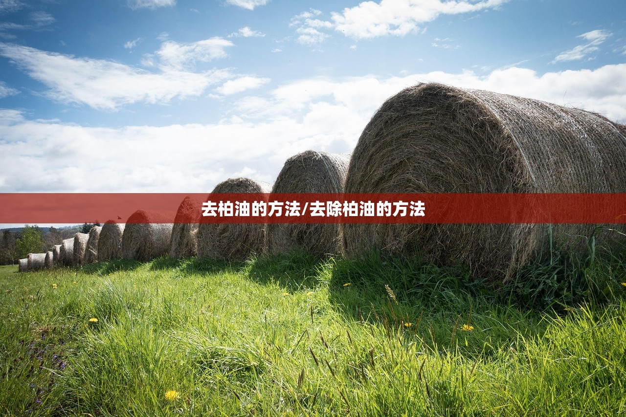 软件分享“安装跑得快万能开挂神器”原来可以开挂