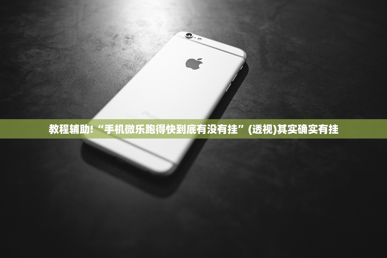 教程辅助!“手机微乐跑得快到底有没有挂”(透视)其实确实有挂