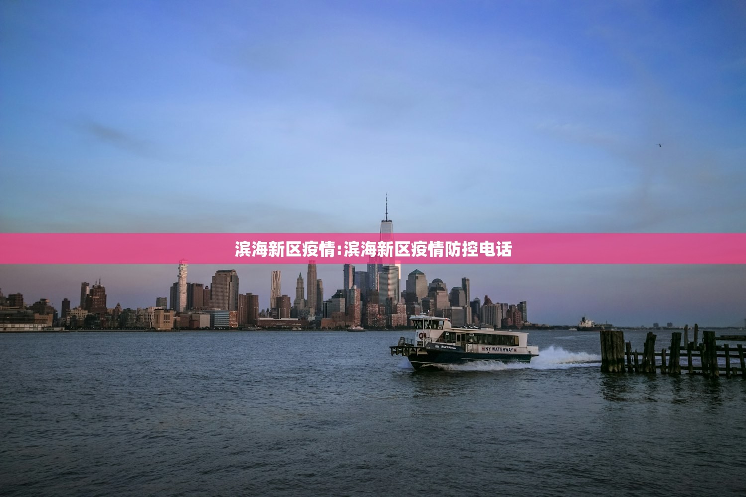 滨海新区疫情:滨海新区疫情防控电话