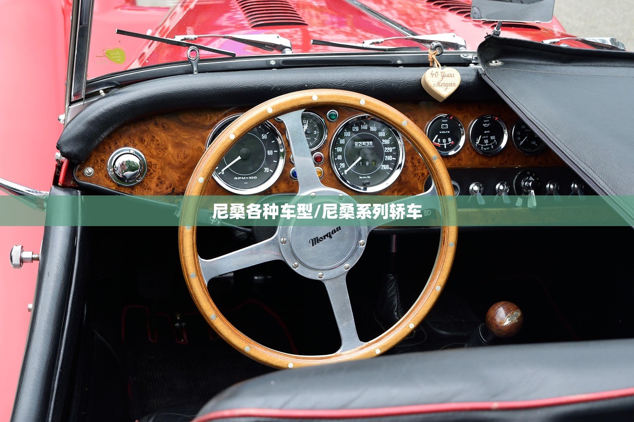 尼桑各种车型/尼桑系列轿车