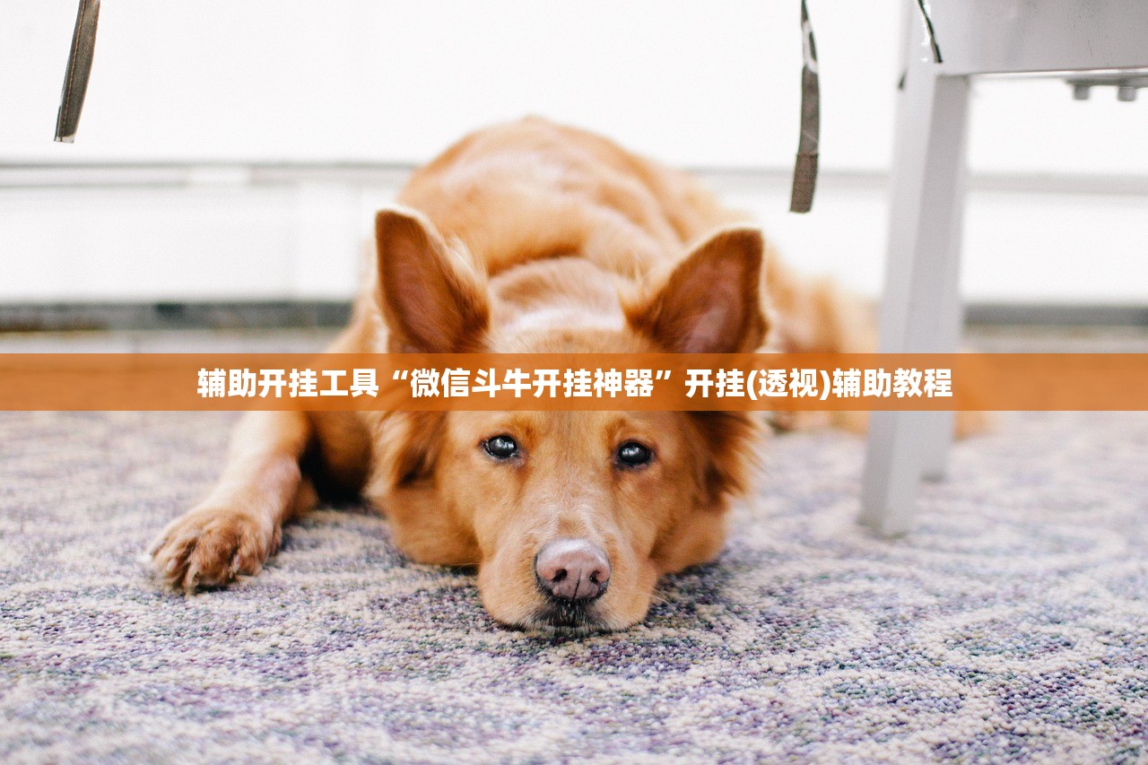辅助开挂工具“微信斗牛开挂神器”开挂(透视)辅助教程