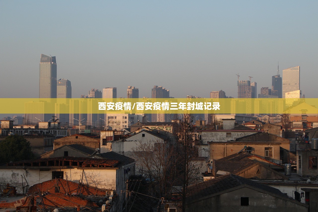 西安疫情/西安疫情三年封城记录