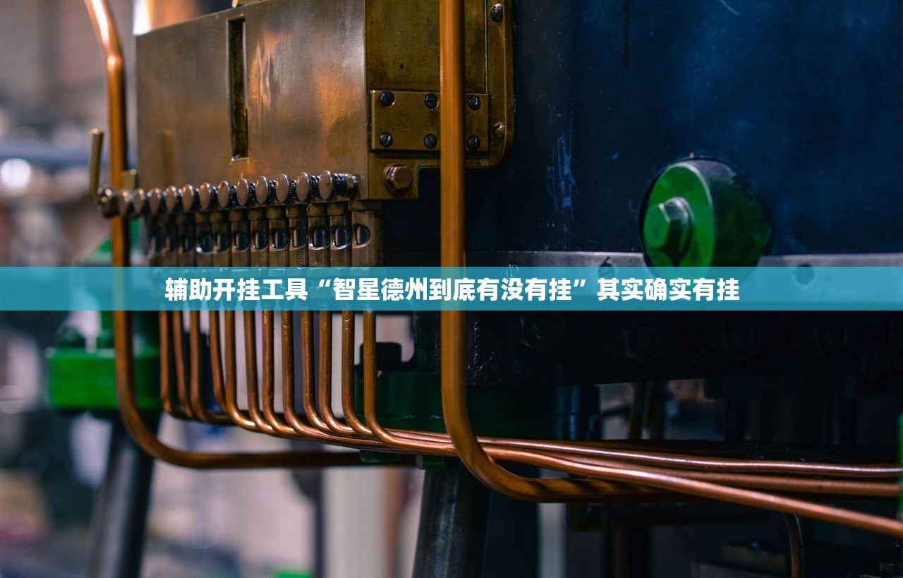 辅助开挂工具“智星德州到底有没有挂”其实确实有挂