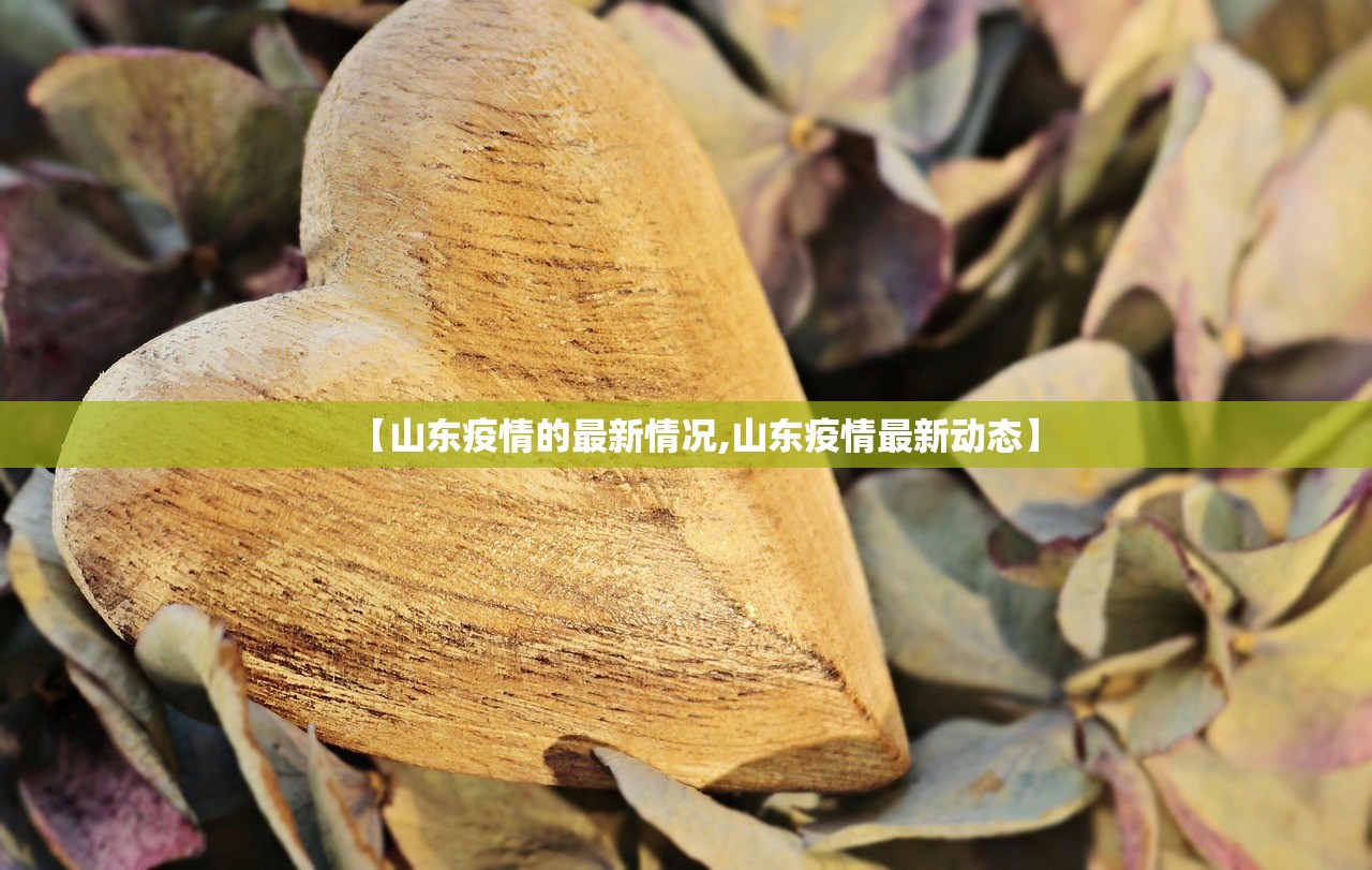【山东疫情的最新情况,山东疫情最新动态】