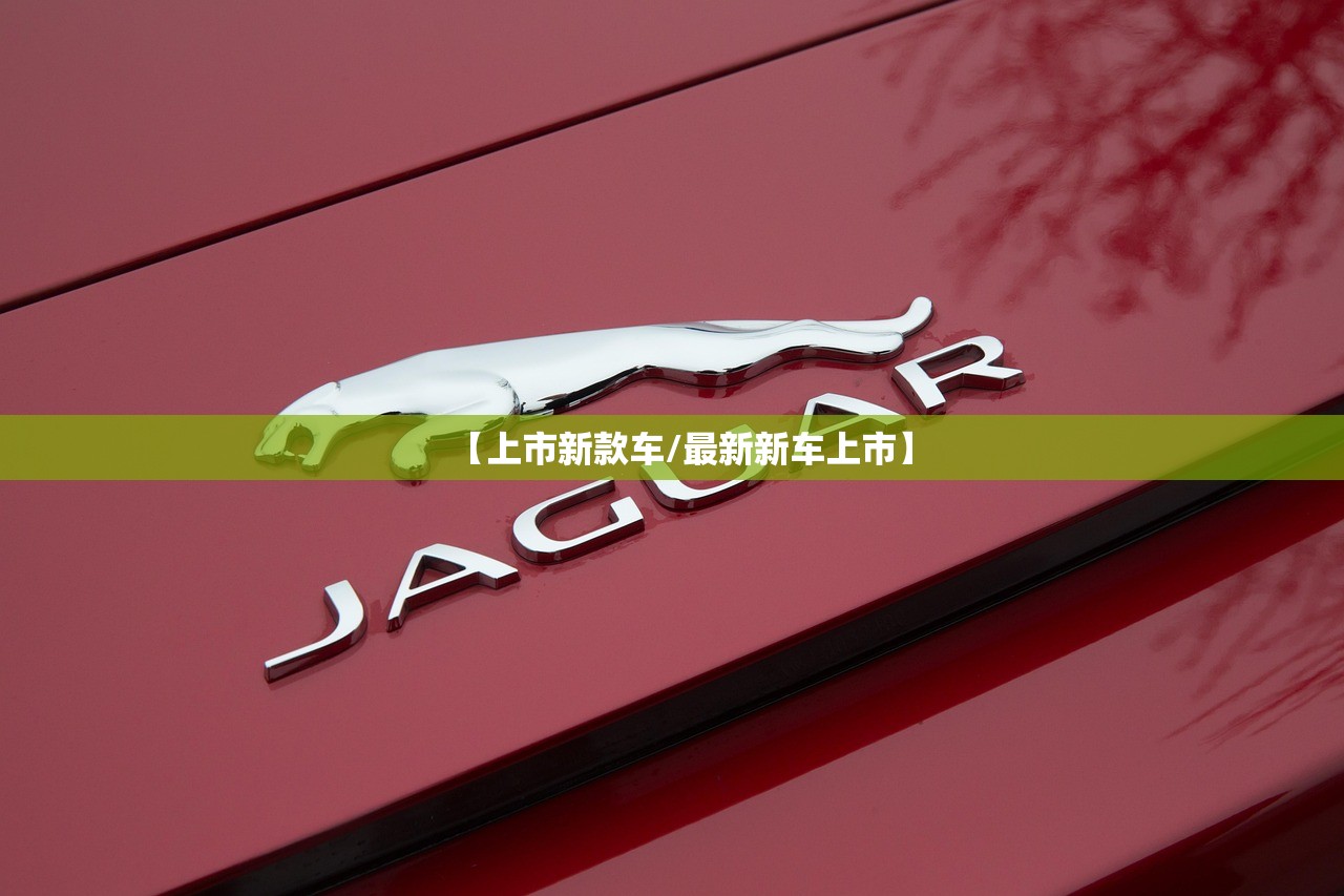 【上市新款车/最新新车上市】
