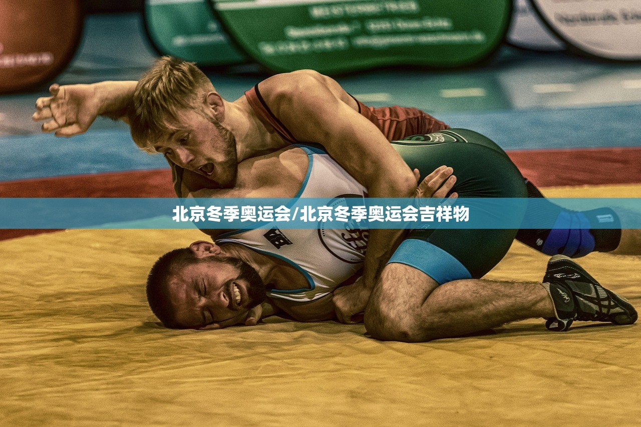北京冬季奥运会/北京冬季奥运会吉祥物