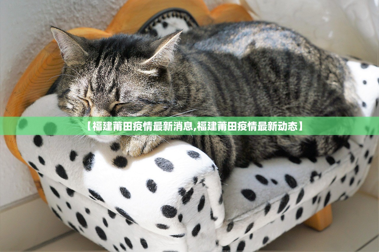 【福建莆田疫情最新消息,福建莆田疫情最新动态】