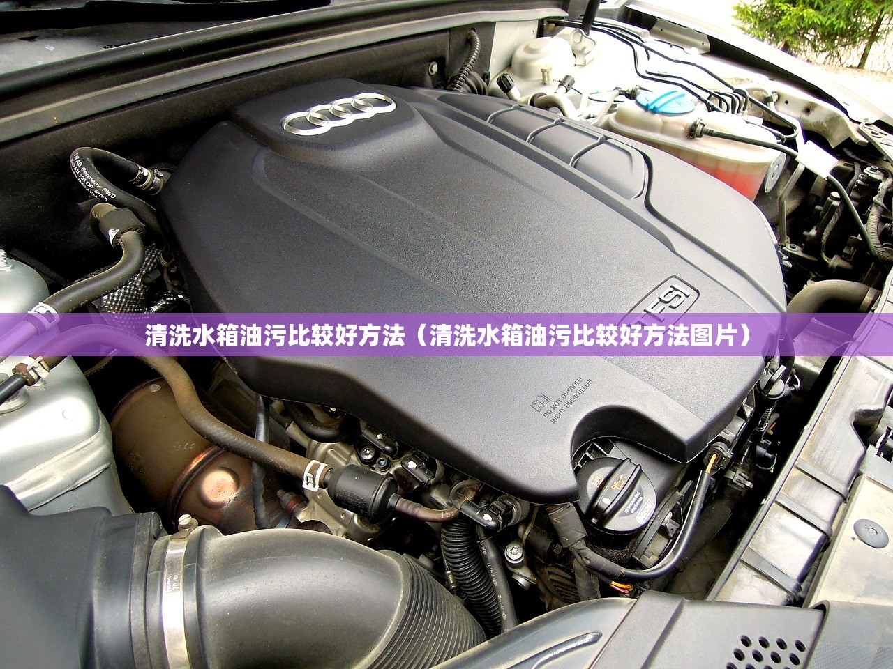 2019高速免费时间:2019高速免费日期