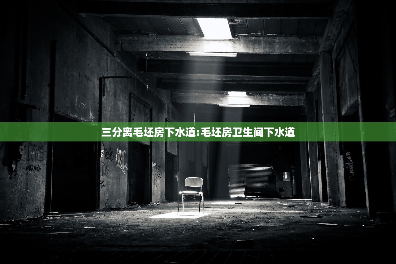 三分离毛坯房下水道:毛坯房卫生间下水道