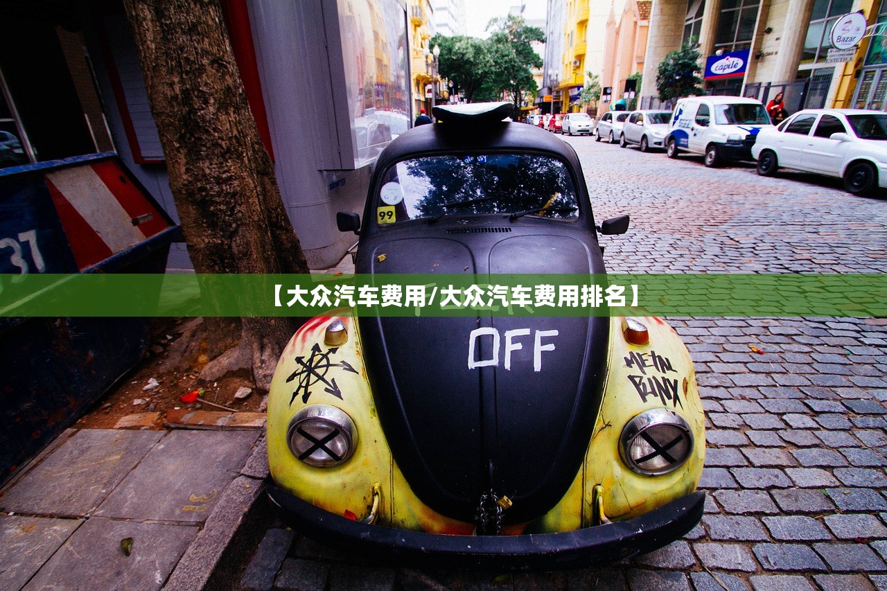【大众汽车费用/大众汽车费用排名】