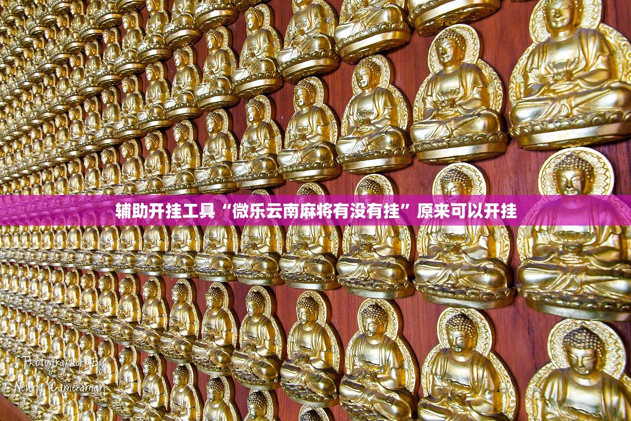 【上海交通大学多少人,上海交通大学一共有多少学生】