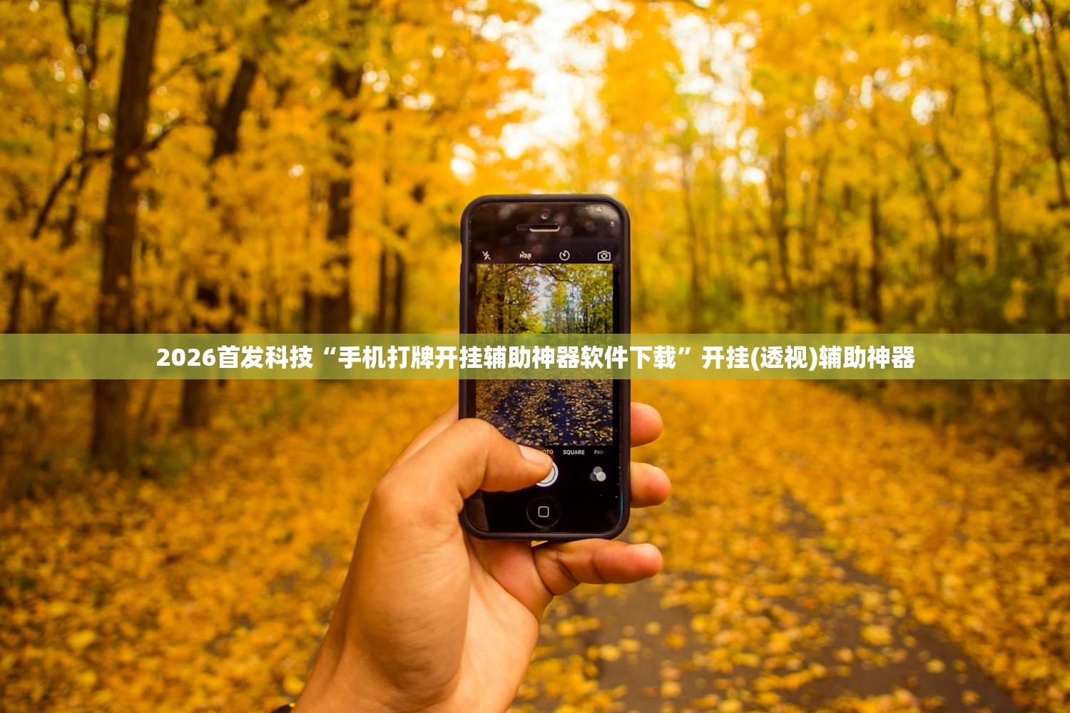 2026首发科技“手机打牌开挂辅助神器软件下载”开挂(透视)辅助神器