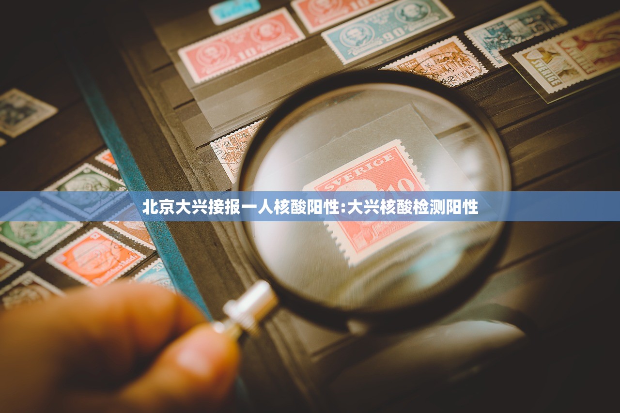 北京大兴接报一人核酸阳性:大兴核酸检测阳性