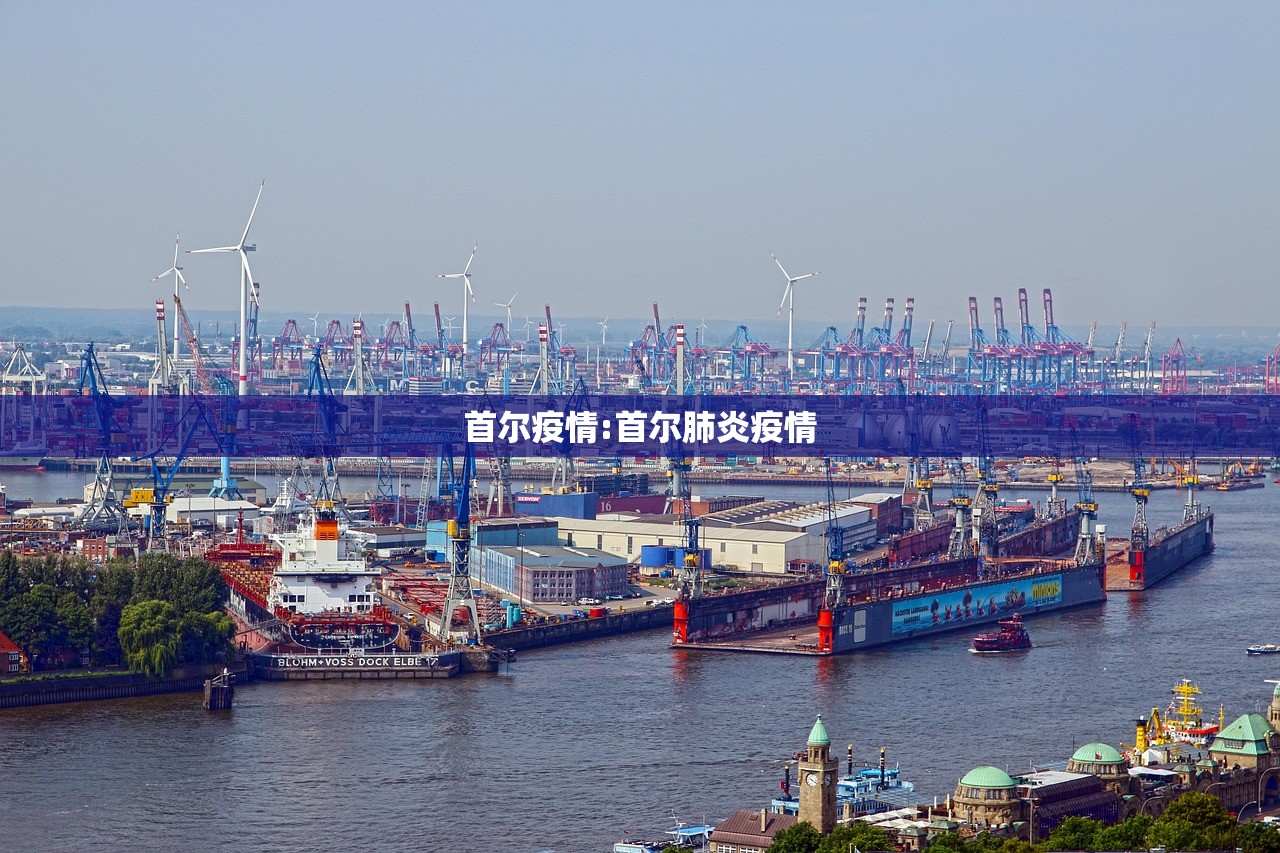 首尔疫情:首尔肺炎疫情
