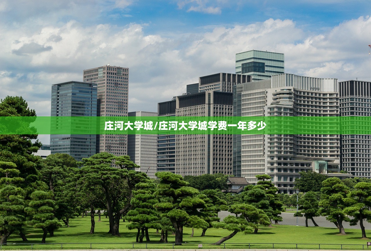 庄河大学城/庄河大学城学费一年多少