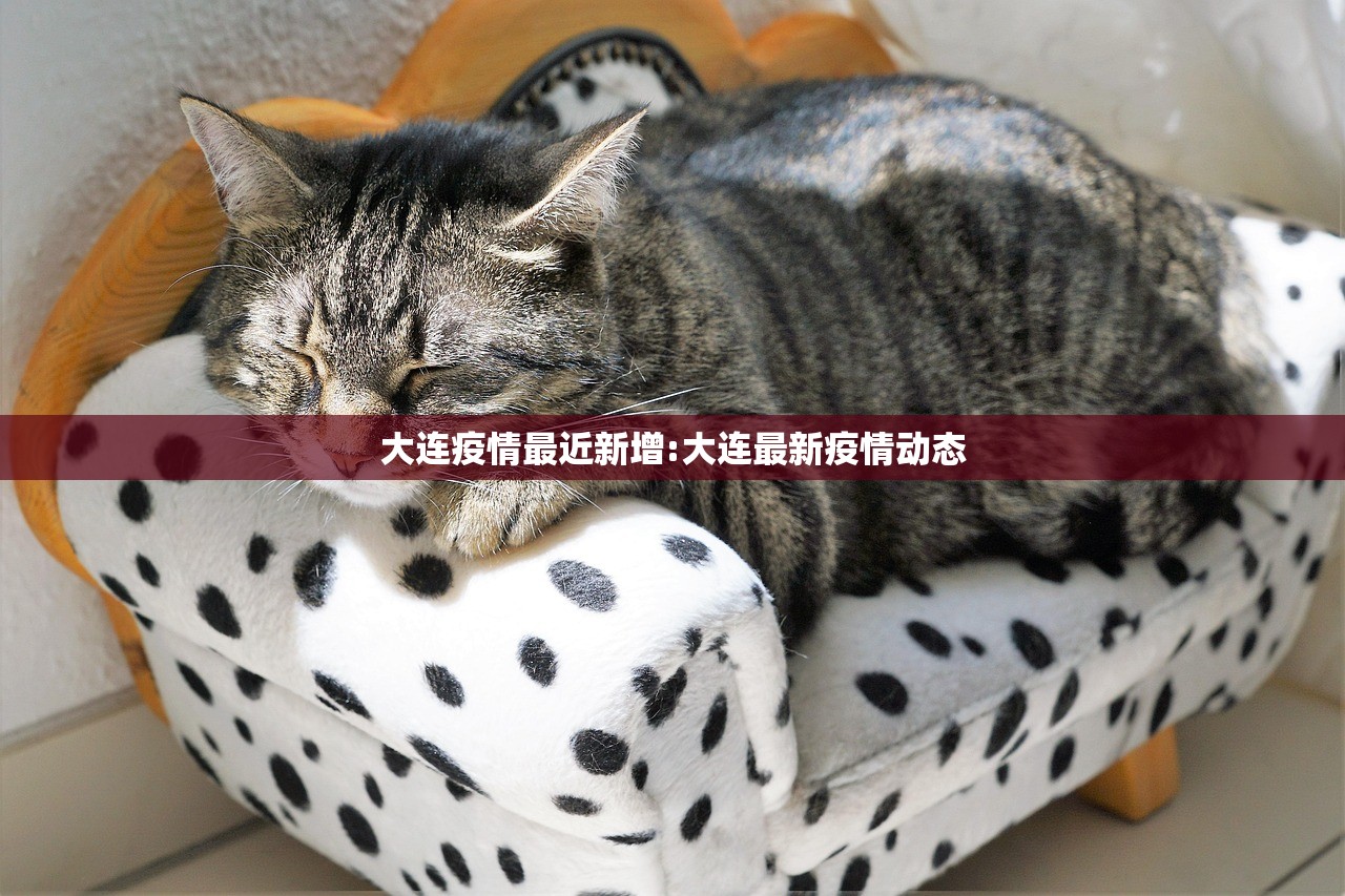 大连疫情最近新增:大连最新疫情动态