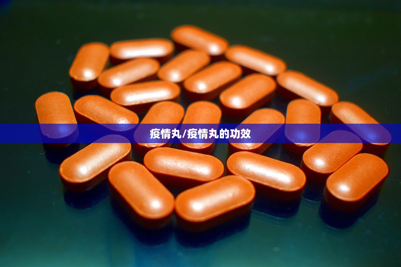 疫情丸/疫情丸的功效