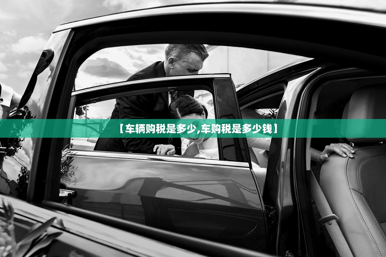 玩家必读“中至九江麻将开挂辅助器通用版”开挂辅助脚本+详细开挂安装教程