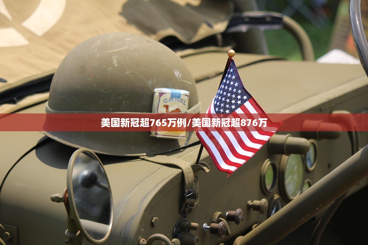 美国新冠超765万例/美国新冠超876万