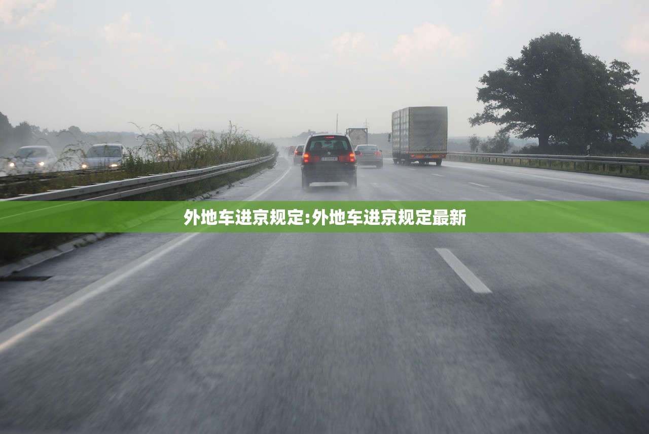 【四叶草将成上海最大方舱医院,上海四叶草专卖店地址】