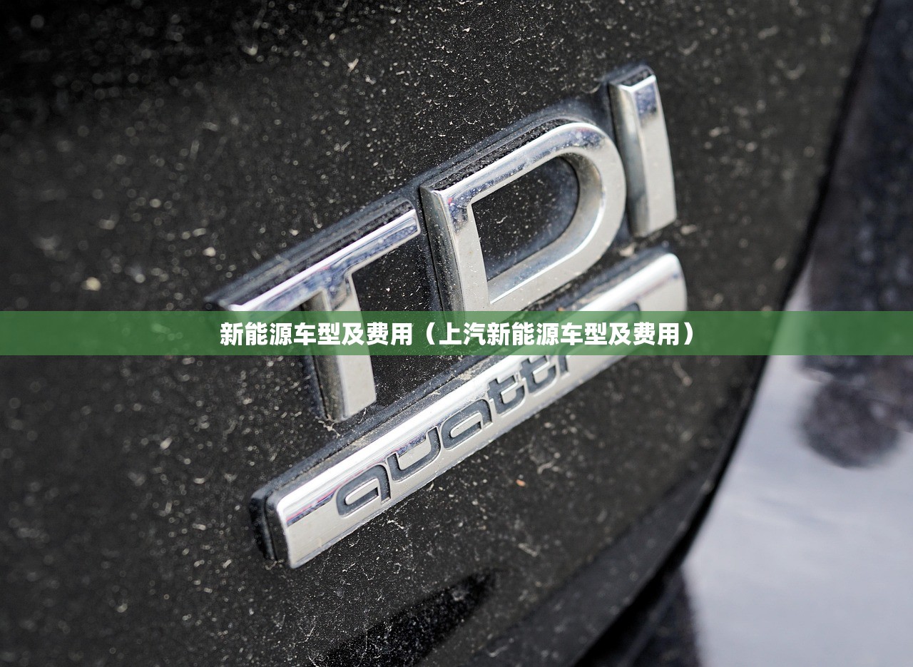 新能源车型及费用（上汽新能源车型及费用）