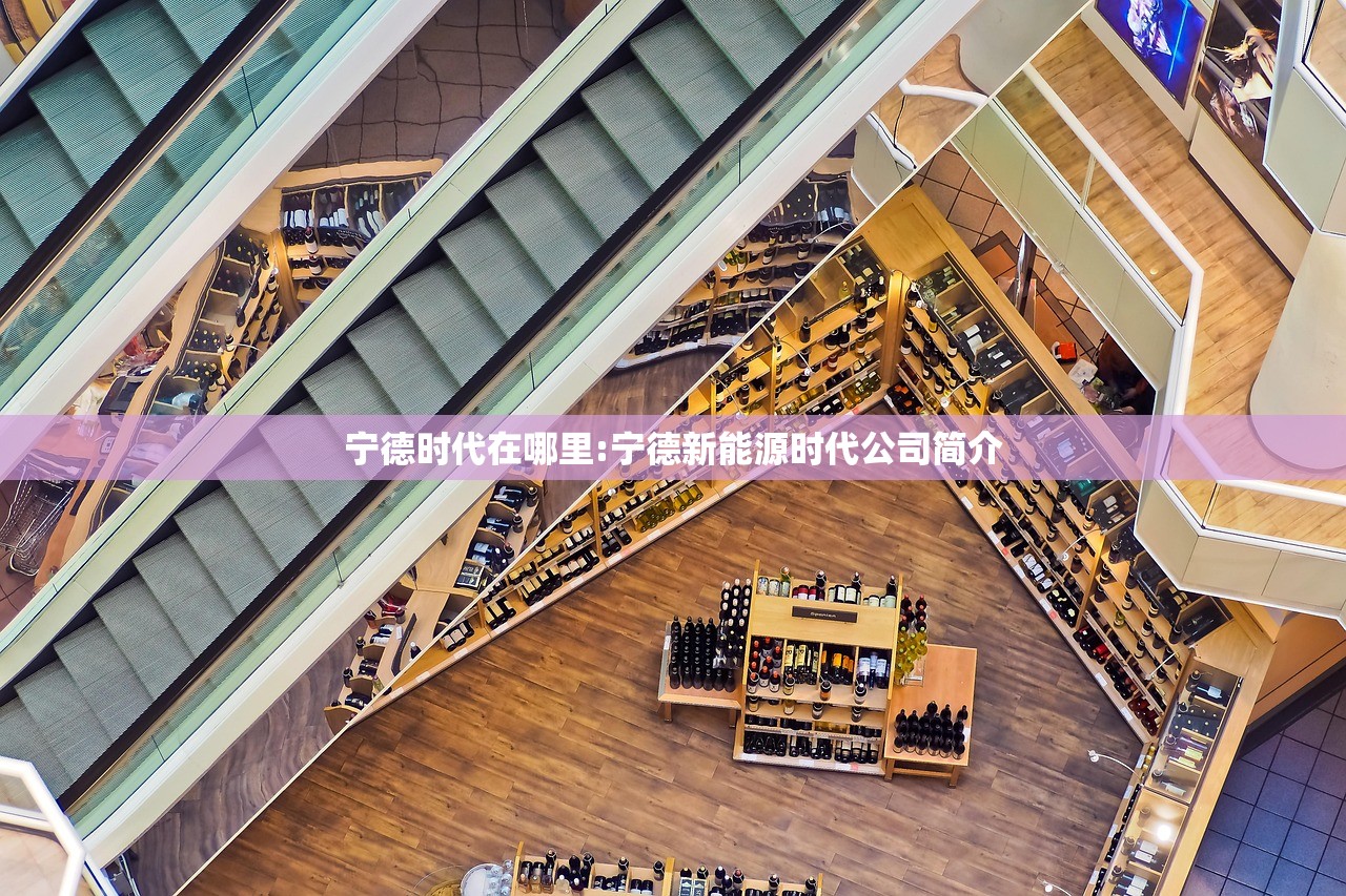 宁德时代在哪里:宁德新能源时代公司简介