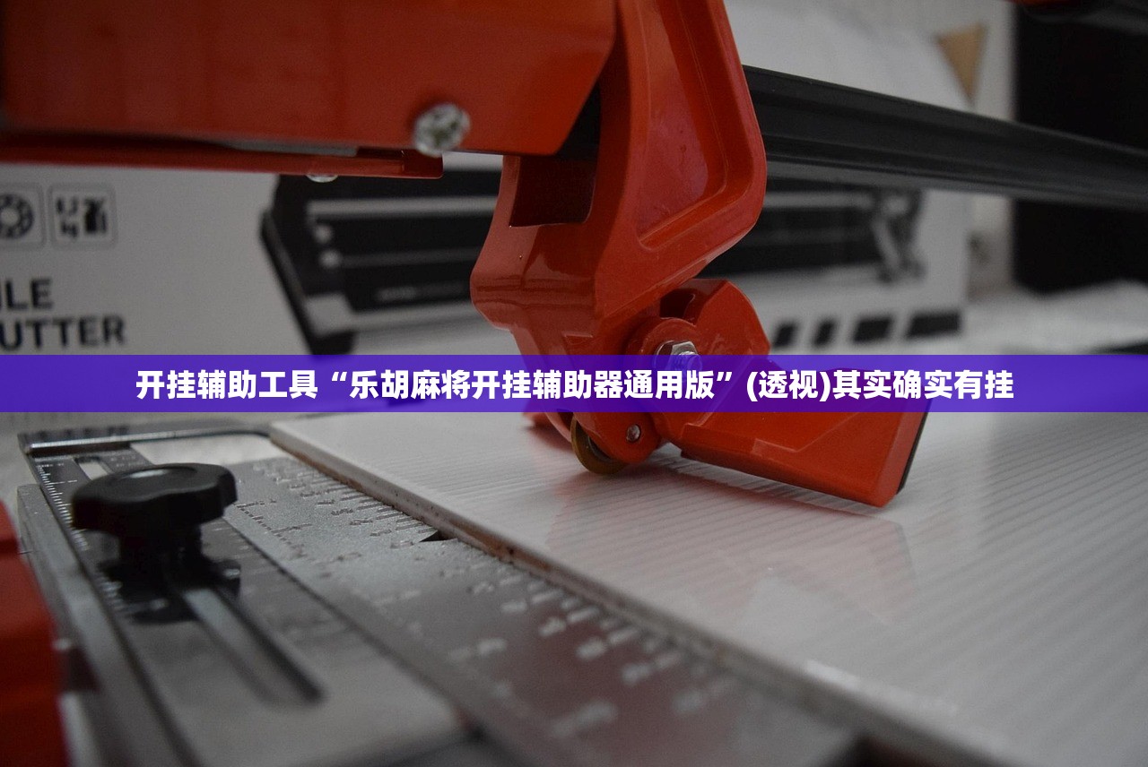 实测辅助“众乐贵州麻将怎么开挂”详细分享装挂步骤