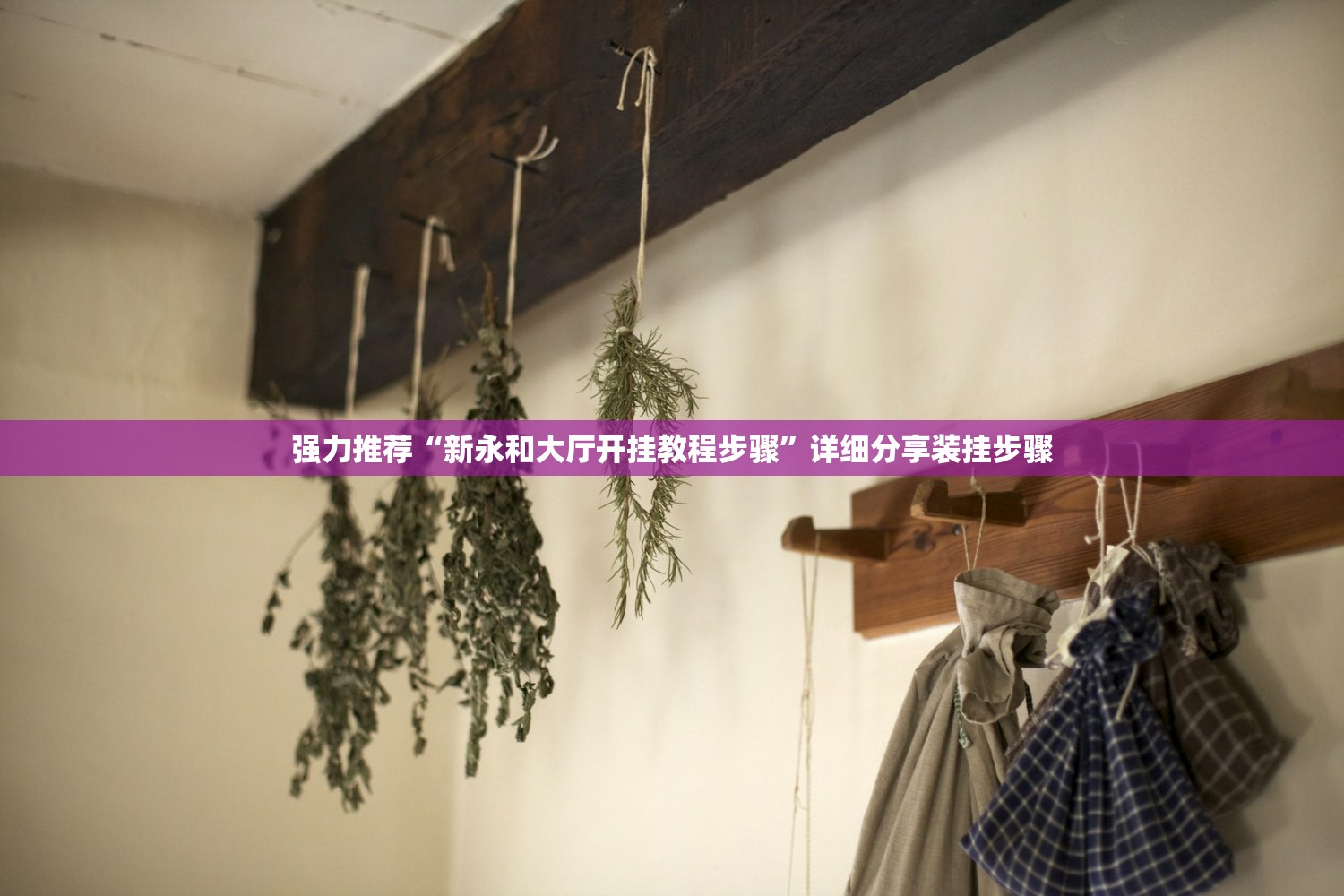 辅助开挂工具“手机斗地主到底有没有挂(透视)”开挂辅助脚本+详细开挂安装教程