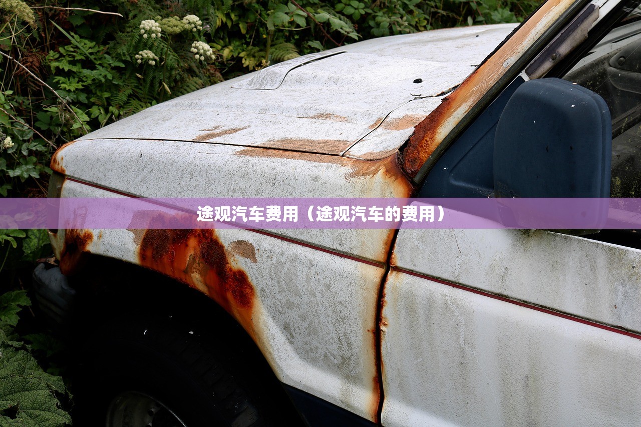 途观汽车费用（途观汽车的费用）