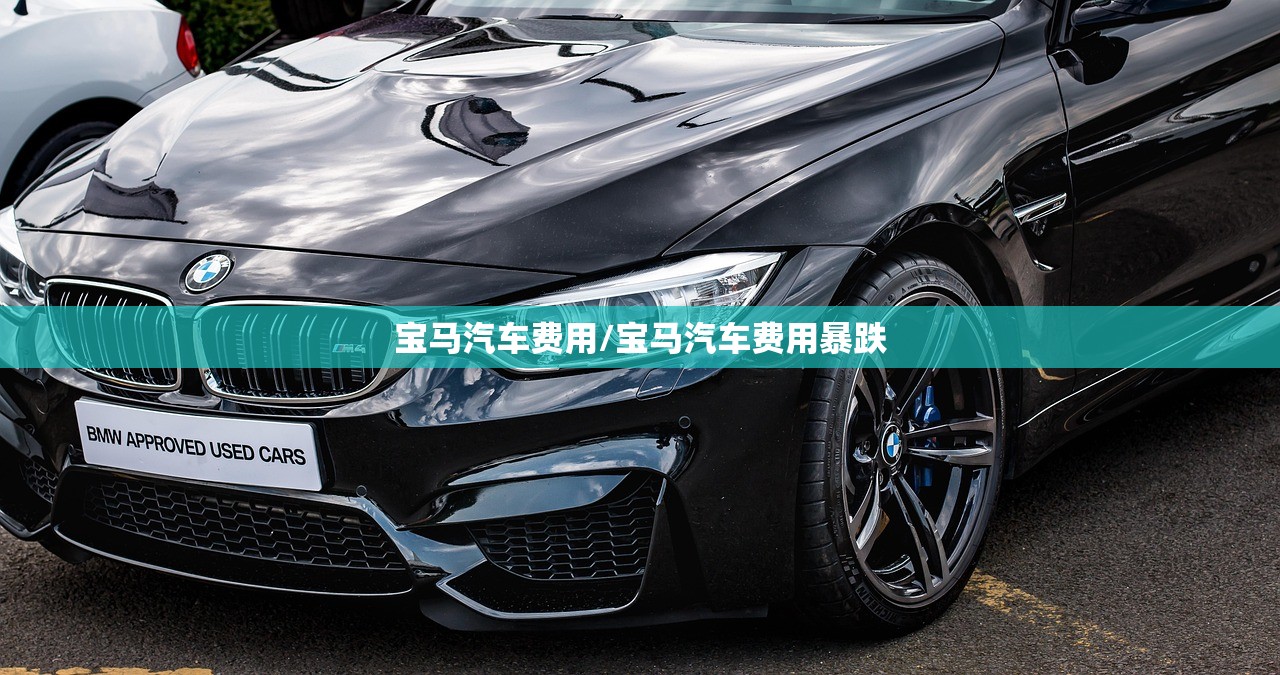 宝马汽车费用/宝马汽车费用暴跌