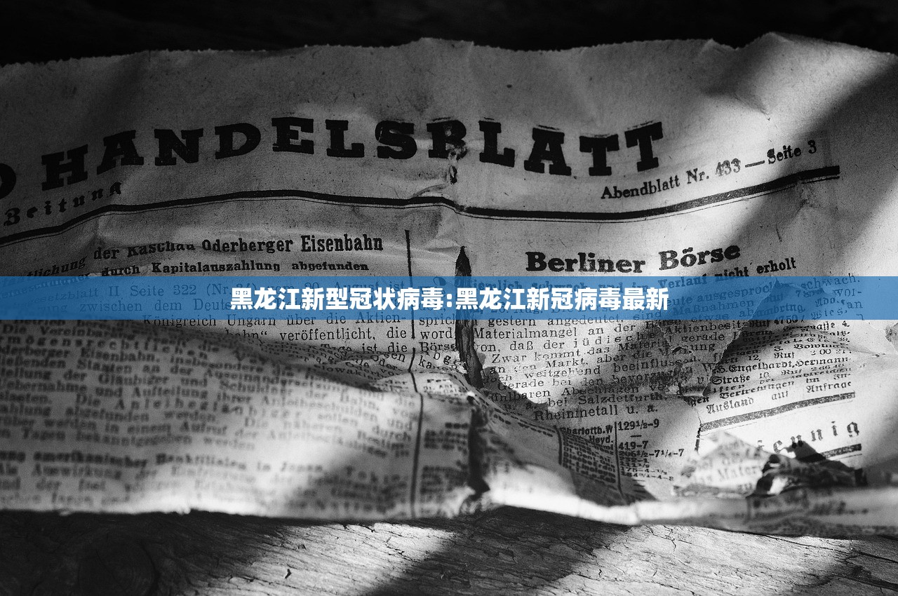黑龙江新型冠状病毒:黑龙江新冠病毒最新
