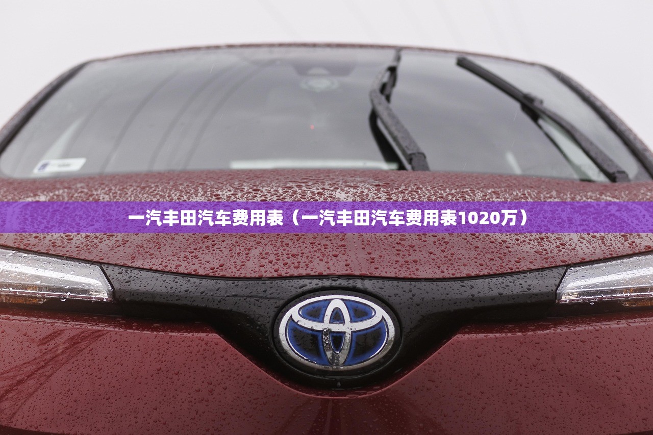 一汽丰田汽车费用表（一汽丰田汽车费用表1020万）