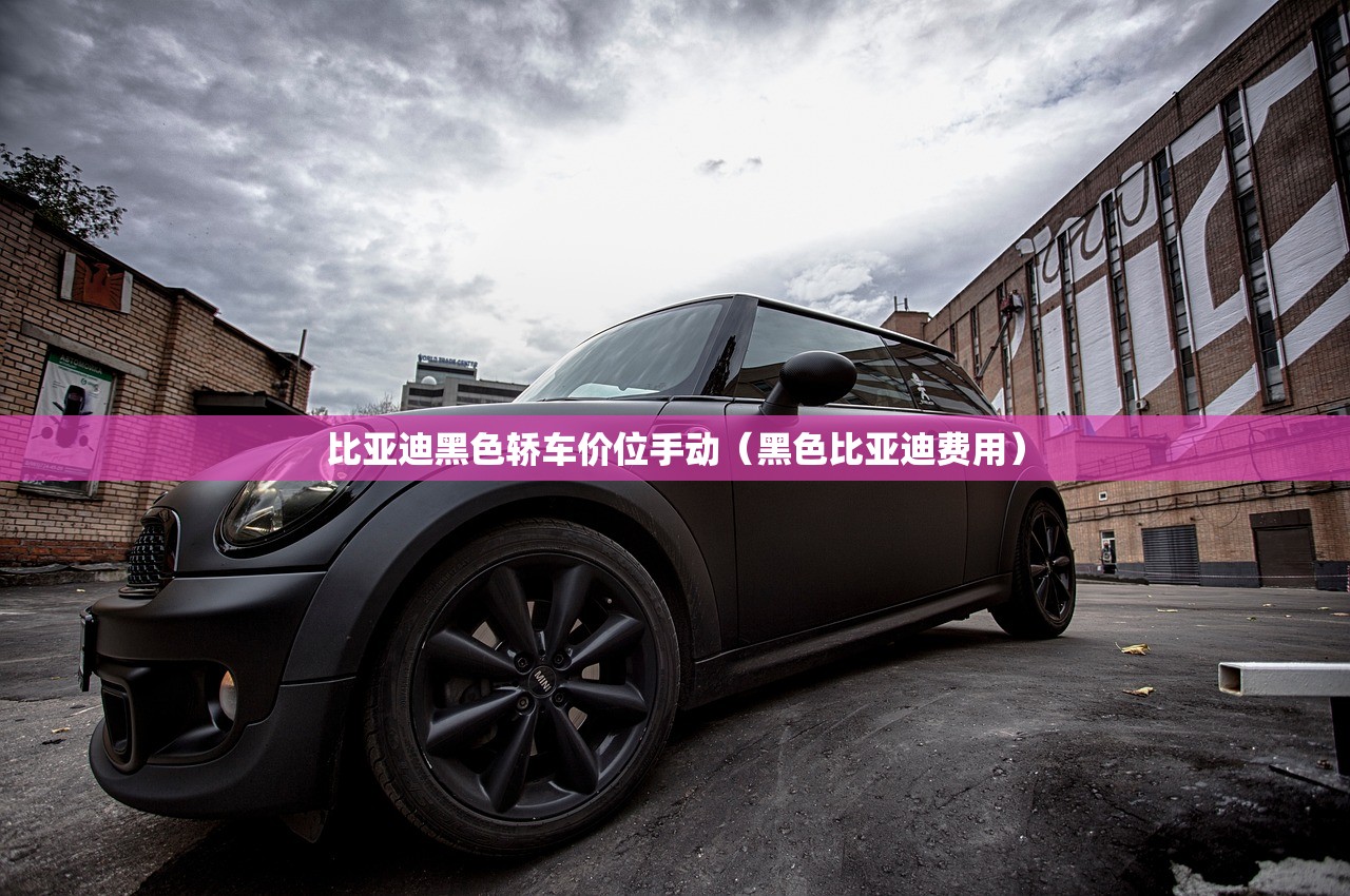 比亚迪黑色轿车价位手动（黑色比亚迪费用）