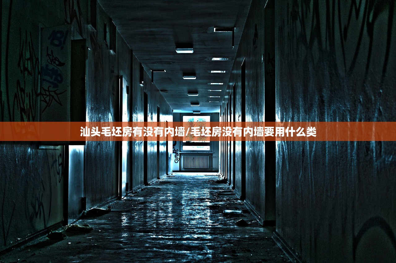 汕头毛坯房有没有内墙/毛坯房没有内墙要用什么类