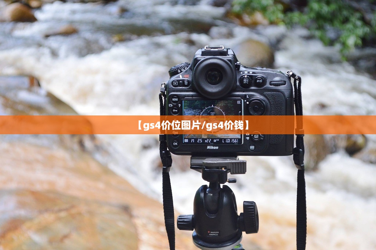 【gs4价位图片/gs4价钱】
