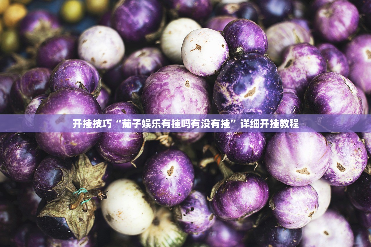 必备科技“微乐广东麻将怎么开挂”原来可以开挂