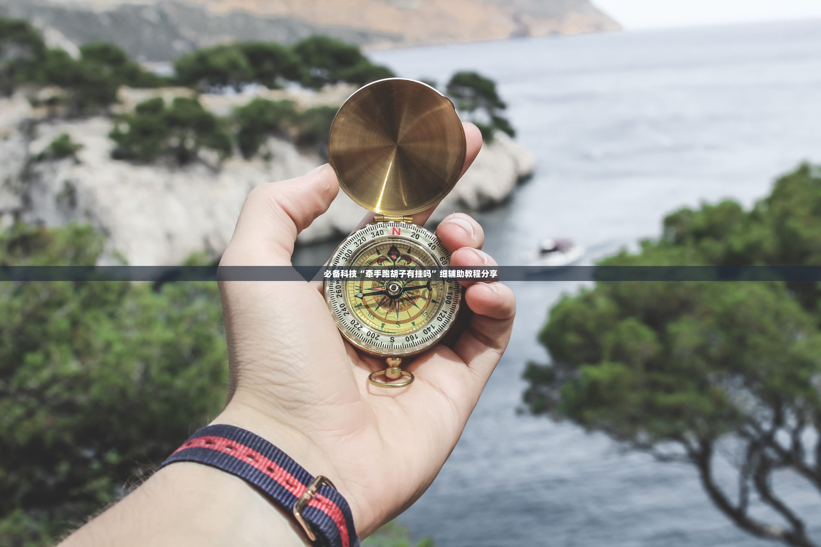 玩家辅助神器：微信跑得快小程序怎么拿好牌”(透视)其实确实有挂