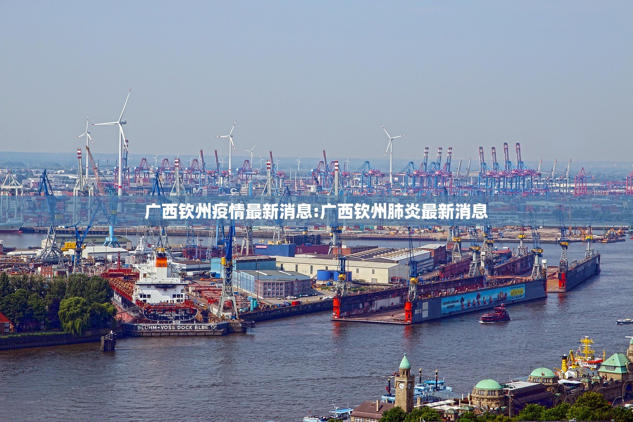 广西钦州疫情最新消息:广西钦州肺炎最新消息